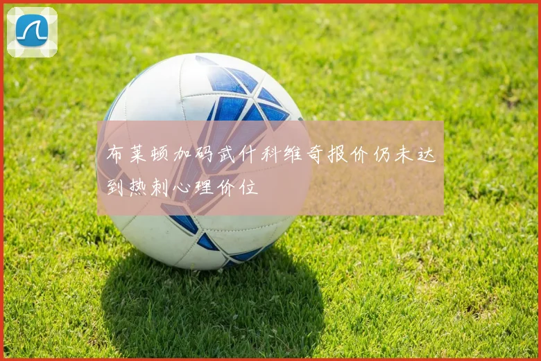 布莱顿加码武什科维奇报价仍未达到热刺心理价位