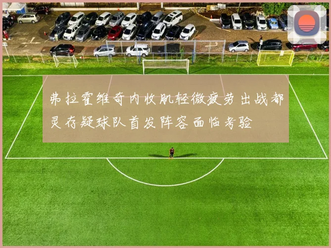 弗拉霍维奇内收肌轻微疲劳出战都灵存疑球队首发阵容面临考验