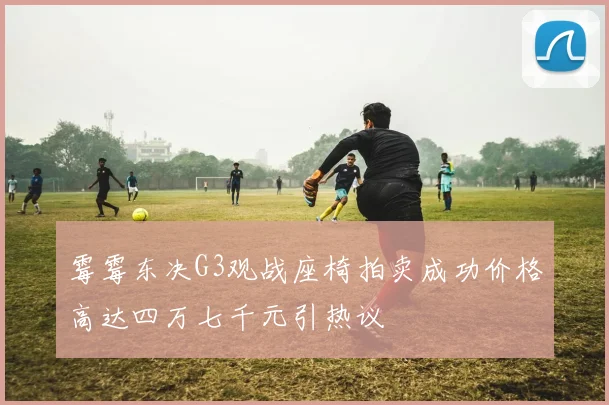 霉霉东决G3观战座椅拍卖成功价格高达四万七千元引热议